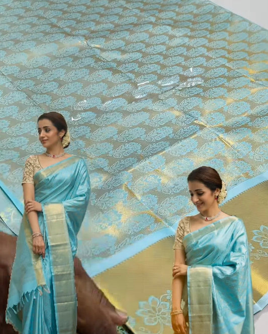 Sky Blue Zari Kanjivaram Saree